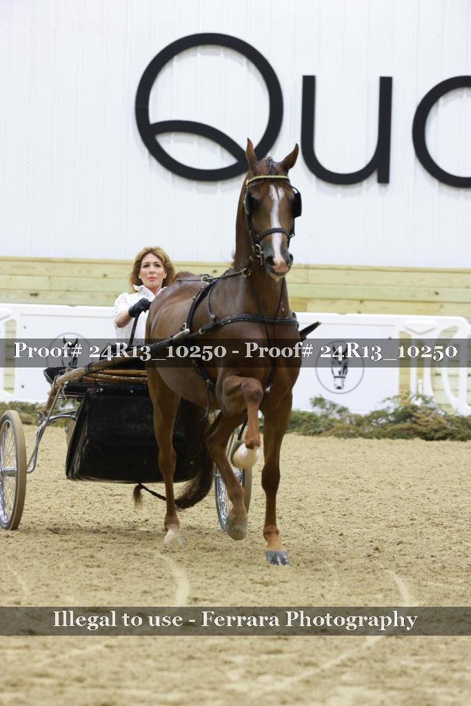 Proof 24R13_10250