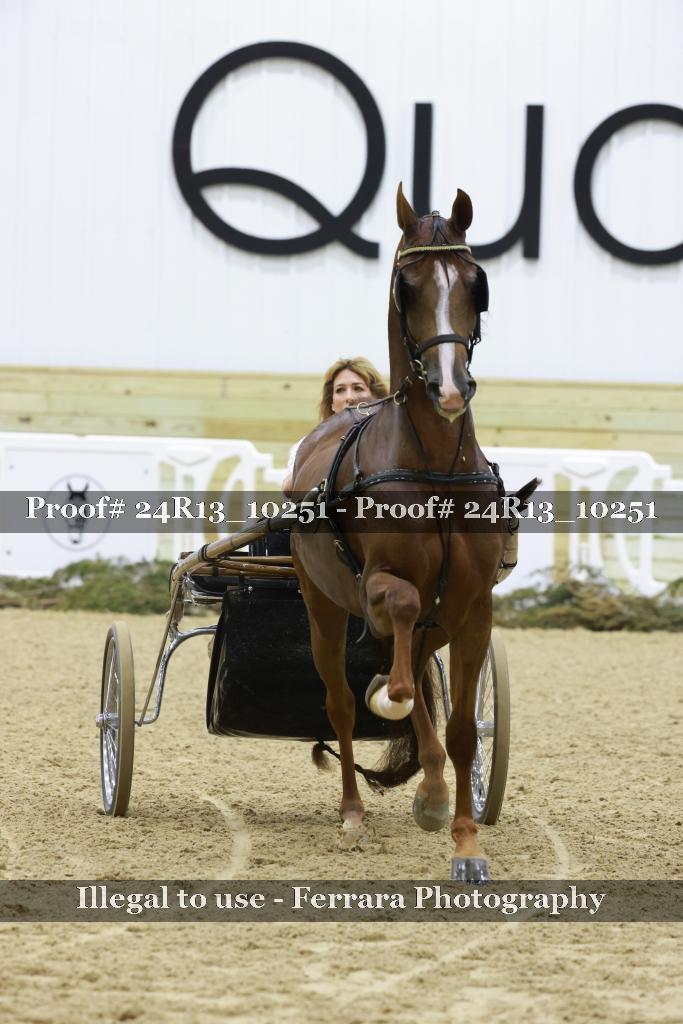 Proof 24R13_10251