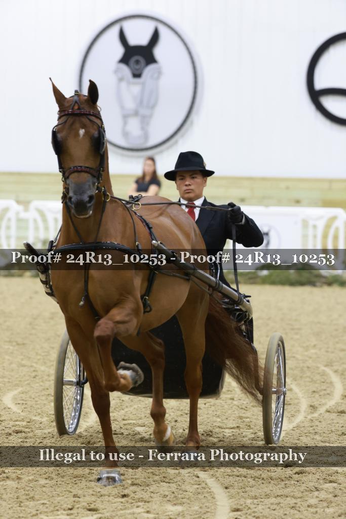 Proof 24R13_10253