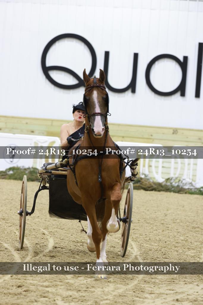 Proof 24R13_10254