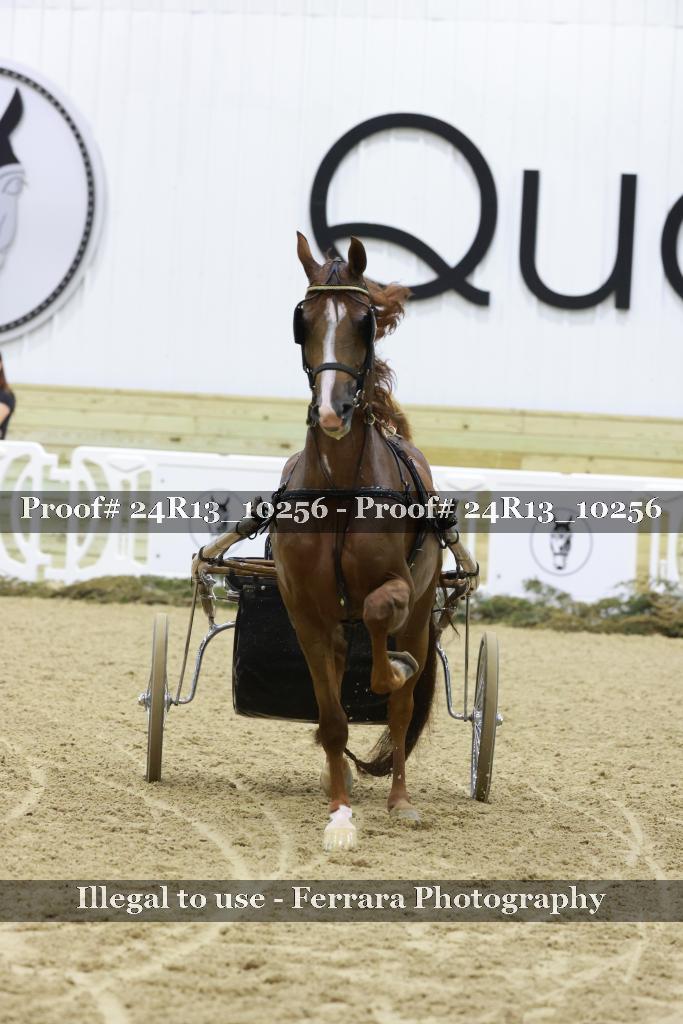 Proof 24R13_10256