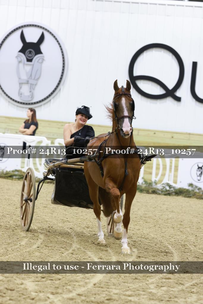 Proof 24R13_10257