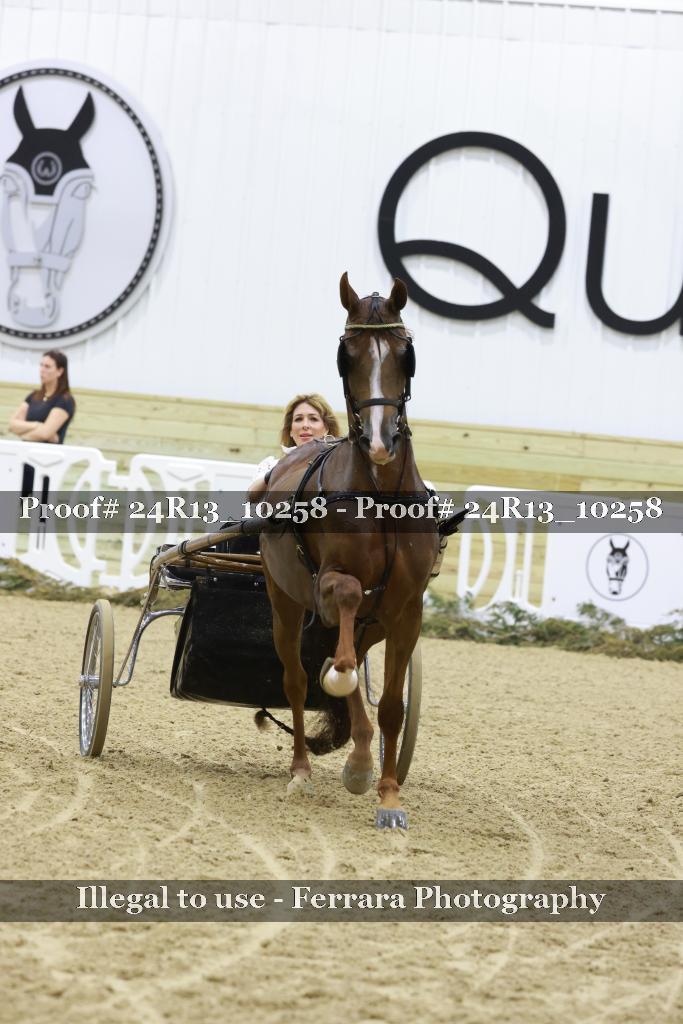 Proof 24R13_10258