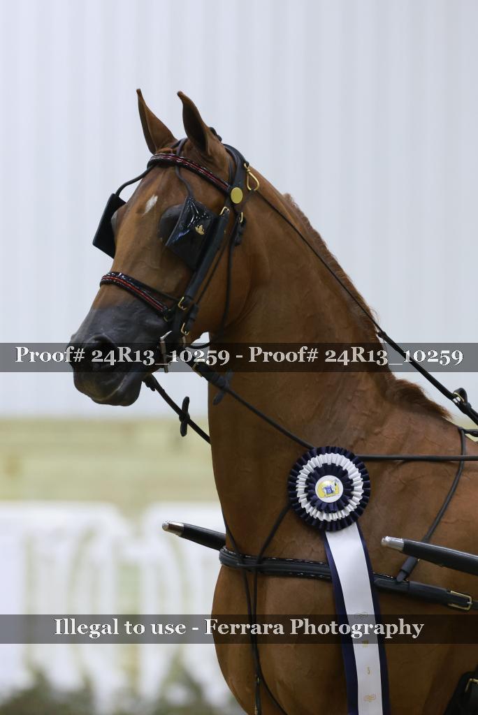 Proof 24R13_10259