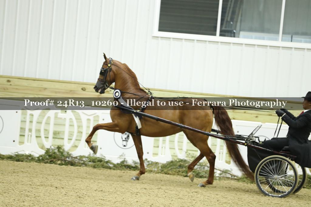 Proof 24R13_10260