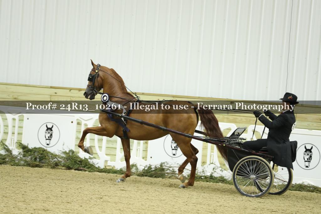 Proof 24R13_10261