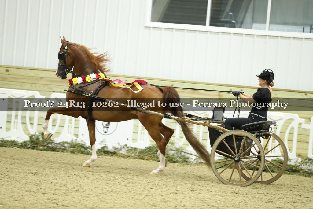 Proof 24R13_10262