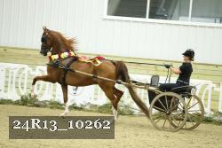 24R13_10262 proof