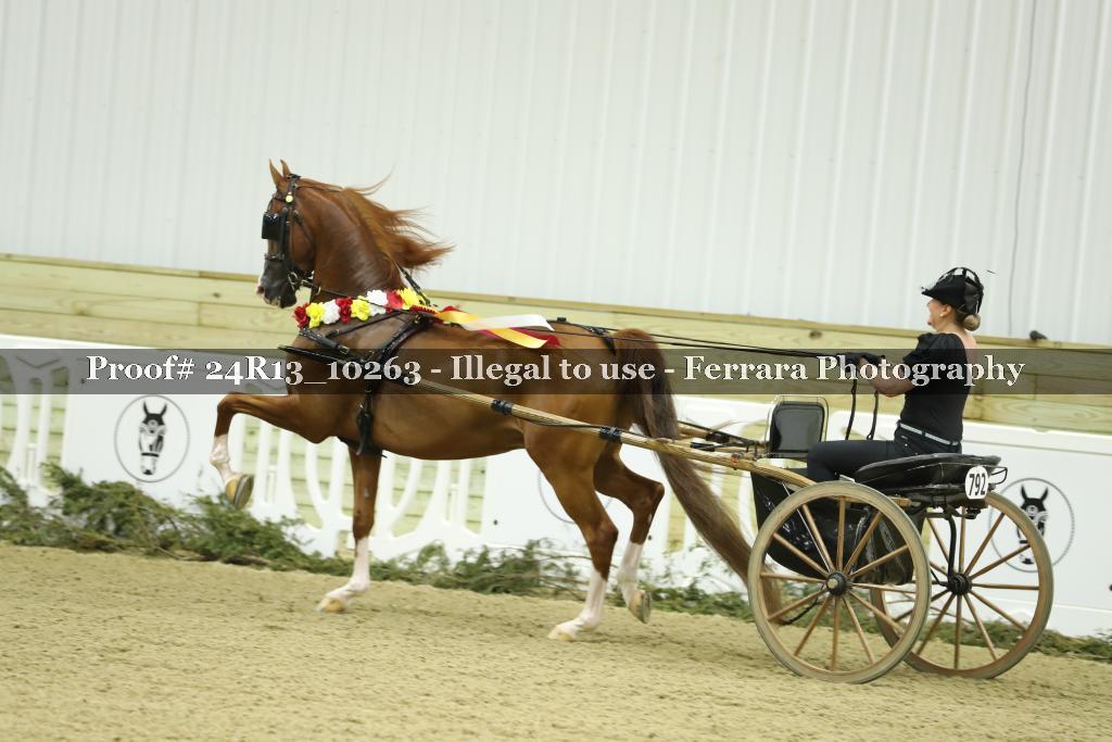 Proof 24R13_10263