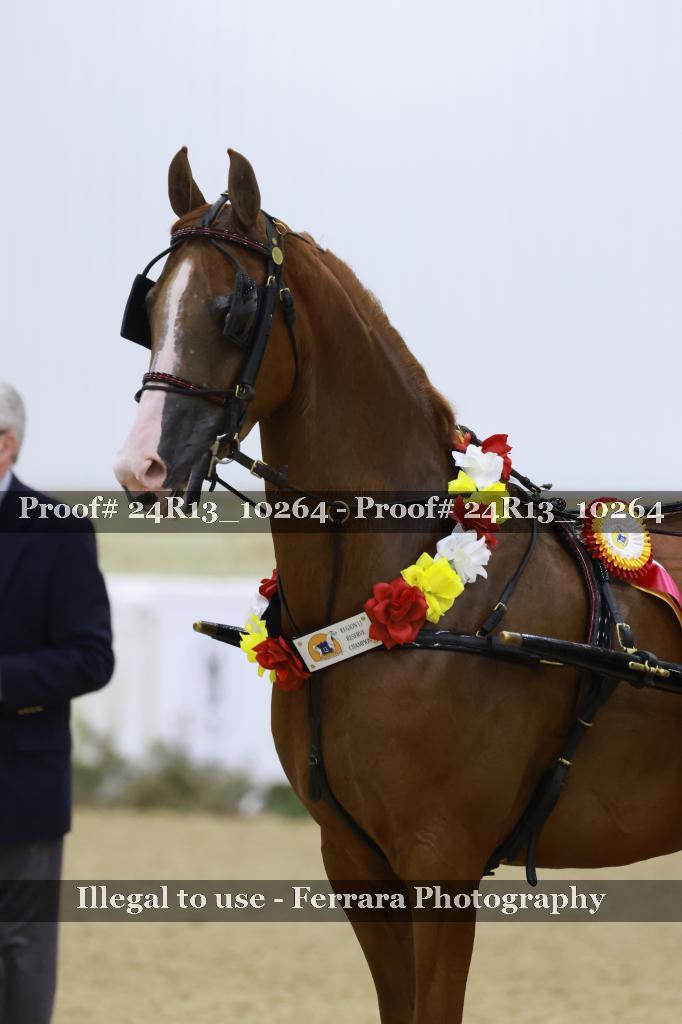Proof 24R13_10264