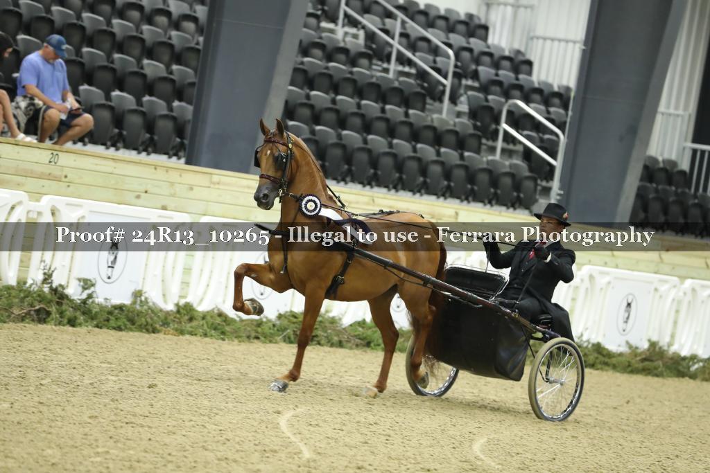 Proof 24R13_10265