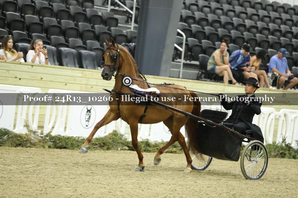 Proof 24R13_10266
