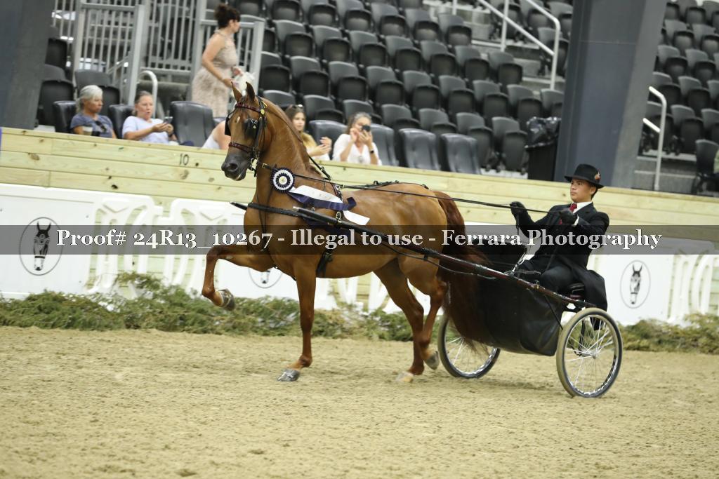 Proof 24R13_10267