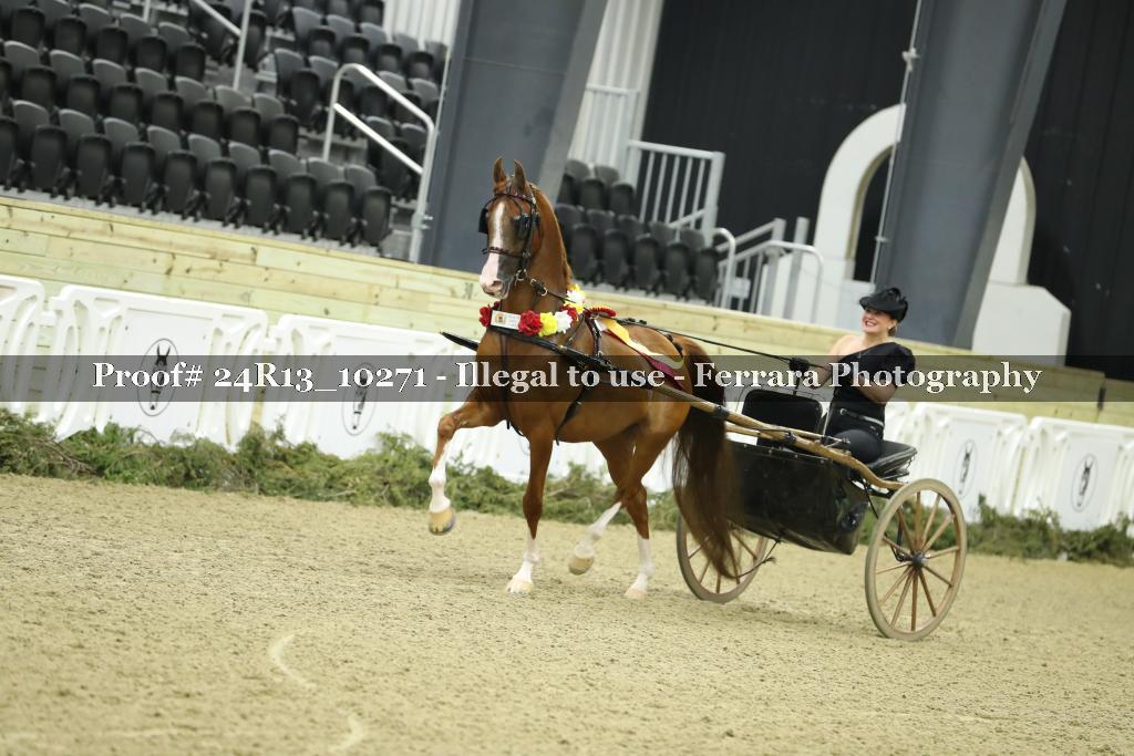 Proof 24R13_10271