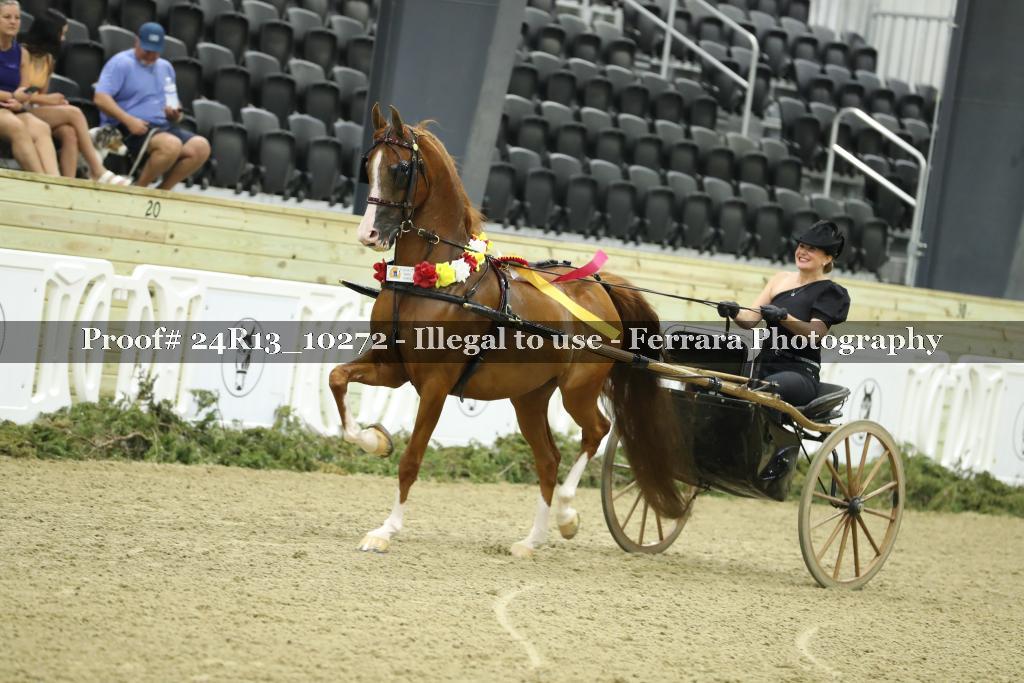 Proof 24R13_10272