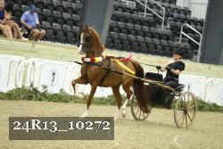 24R13_10272 proof