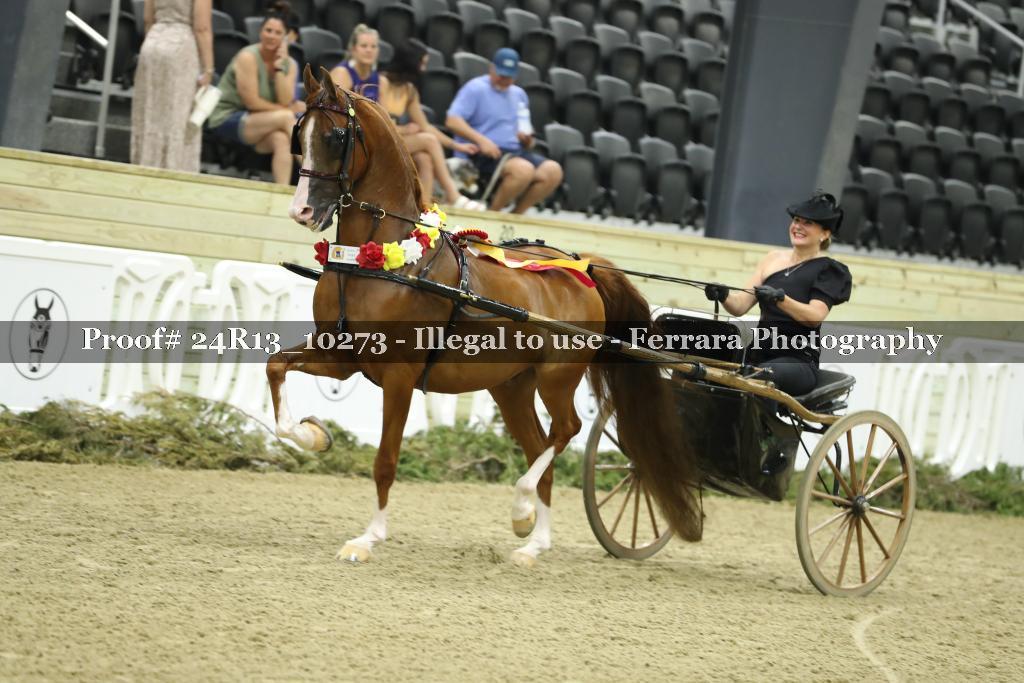 Proof 24R13_10273