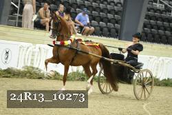 24R13_10273 proof