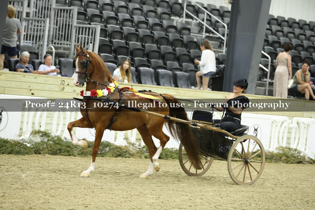 Proof 24R13_10274