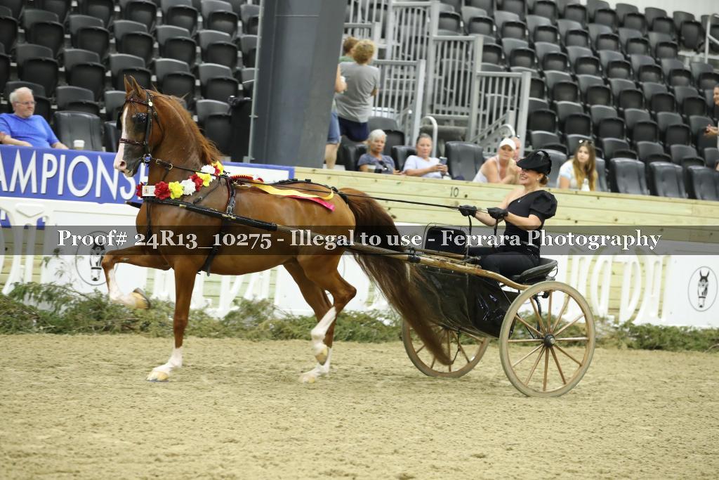 Proof 24R13_10275