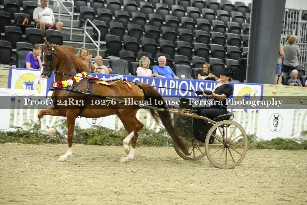 Proof 24R13_10276
