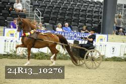 24R13_10276 proof