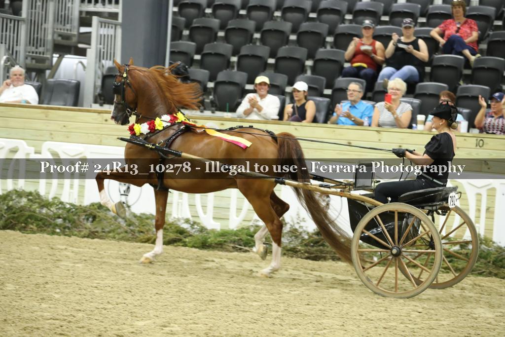 Proof 24R13_10278