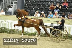 24R13_10278 proof