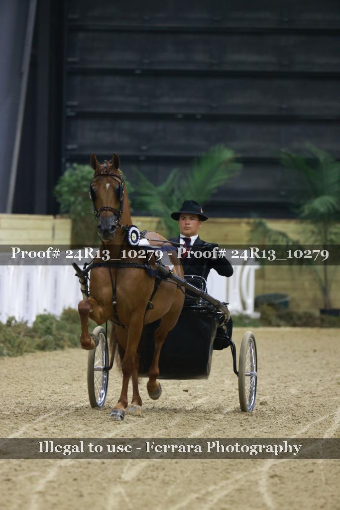 Proof 24R13_10279
