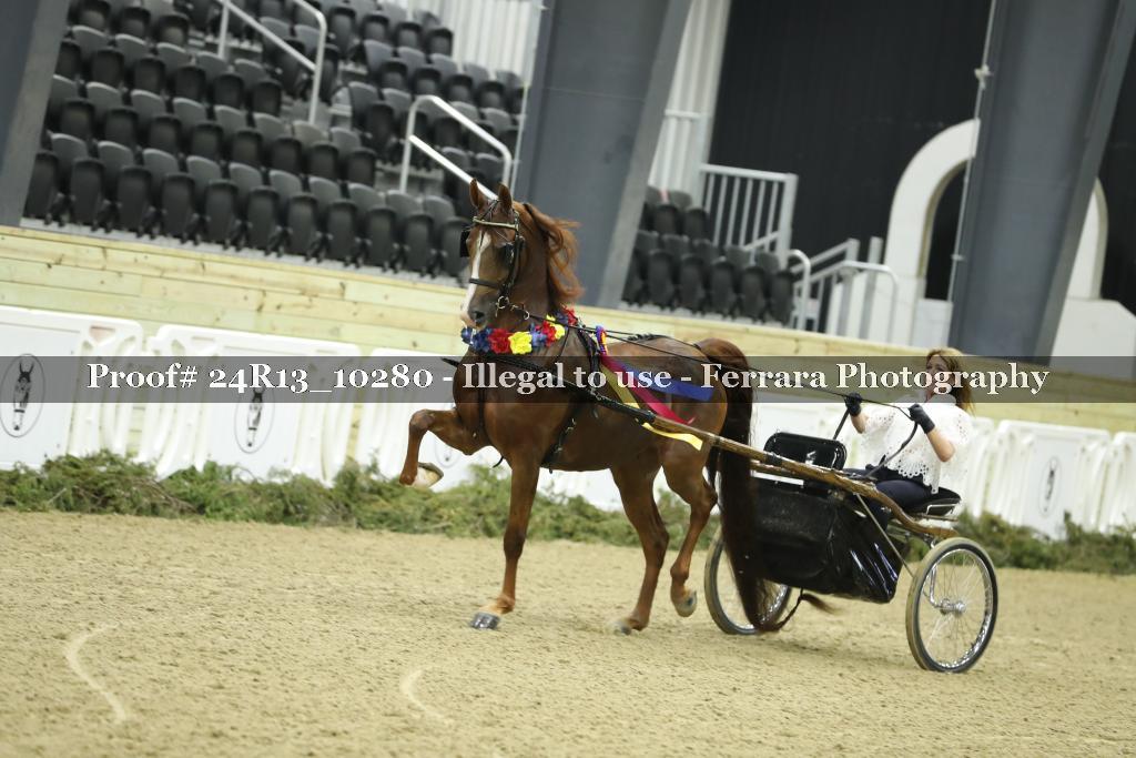 Proof 24R13_10280