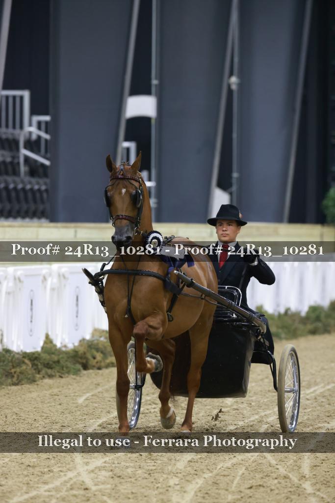 Proof 24R13_10281