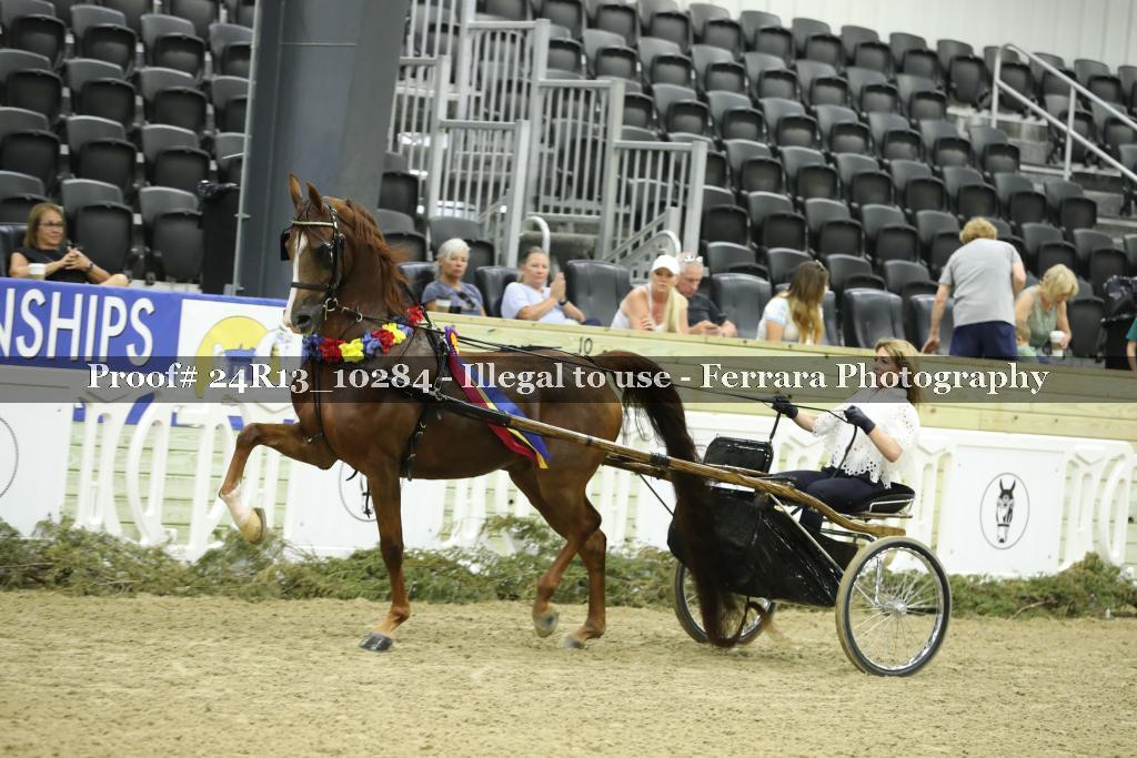 Proof 24R13_10284