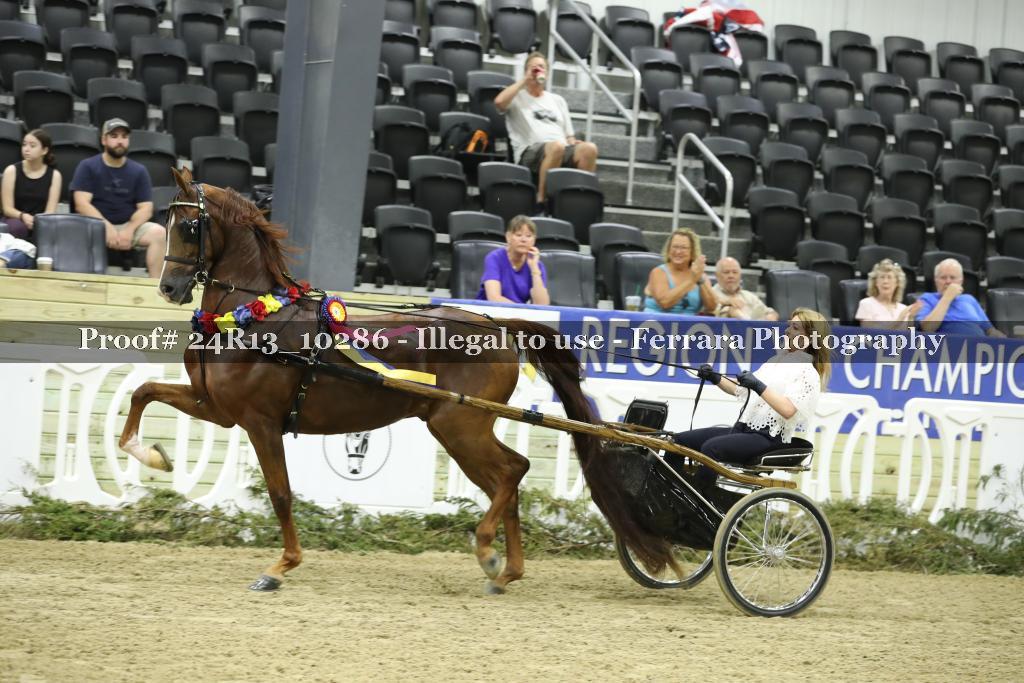 Proof 24R13_10286