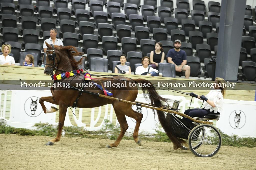 Proof 24R13_10287