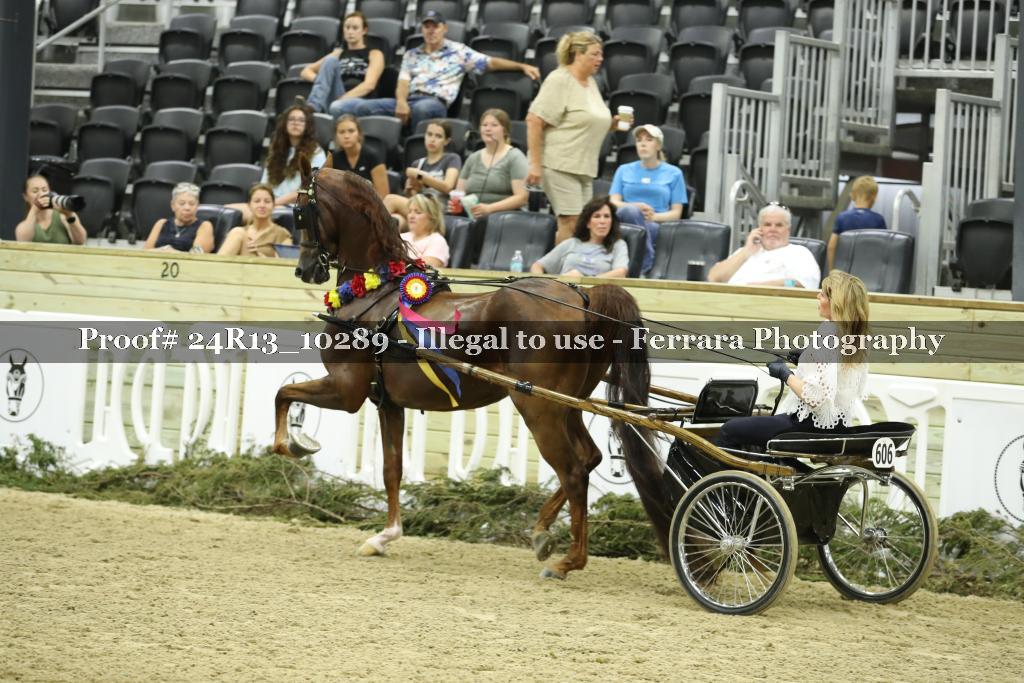 Proof 24R13_10289