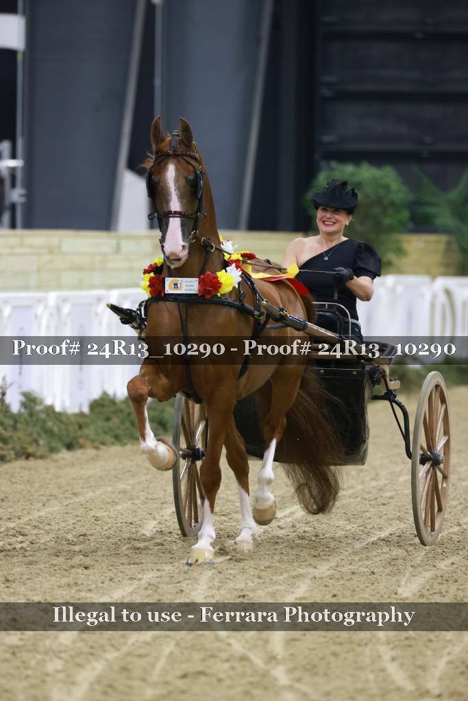 Proof 24R13_10290