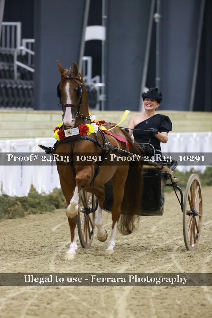 Proof 24R13_10291