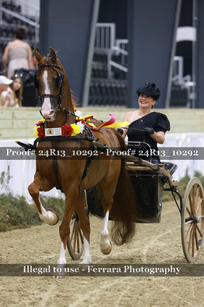 Proof 24R13_10292