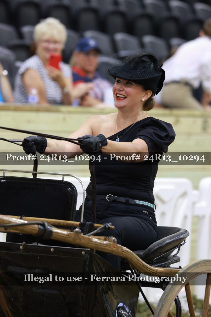 Proof 24R13_10294