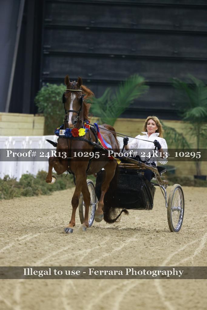 Proof 24R13_10295