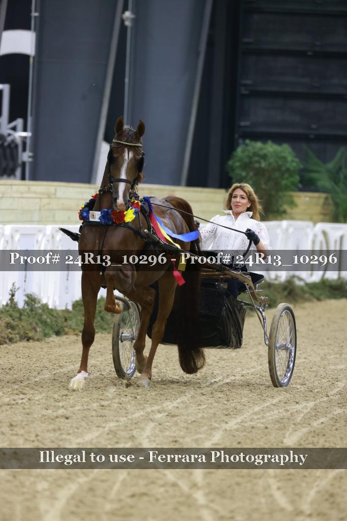 Proof 24R13_10296