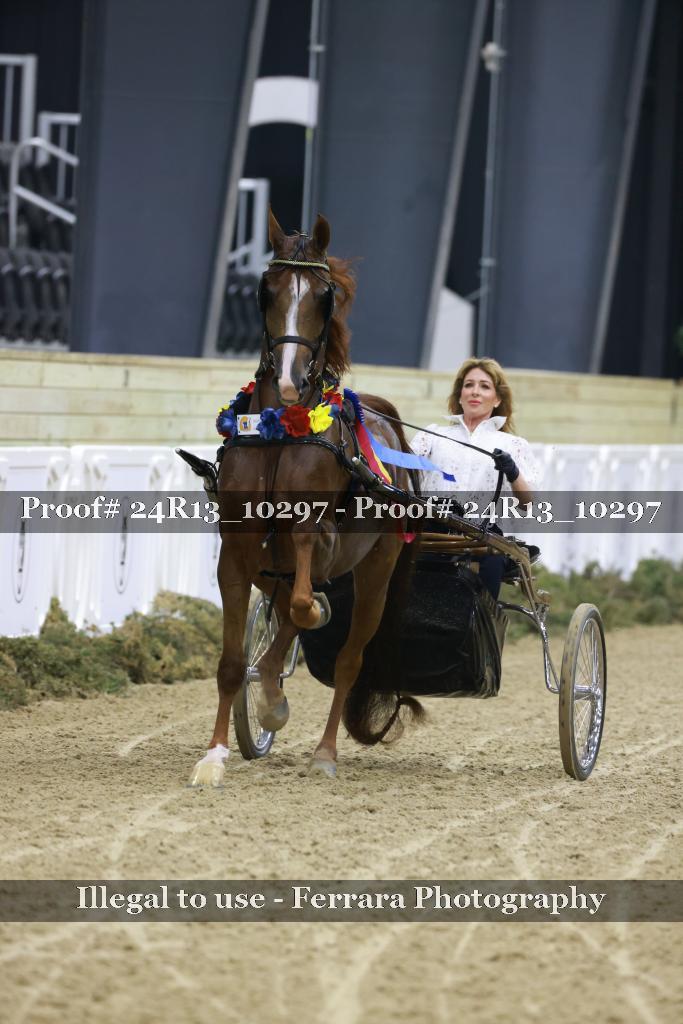 Proof 24R13_10297