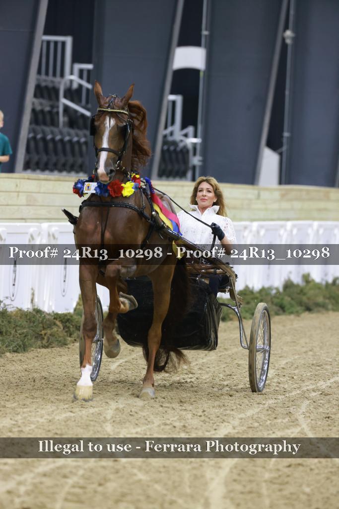 Proof 24R13_10298