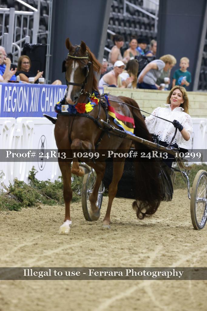 Proof 24R13_10299