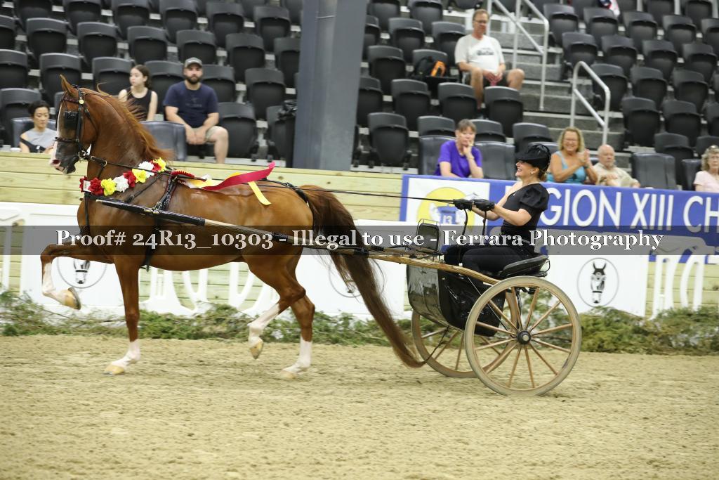 Proof 24R13_10303