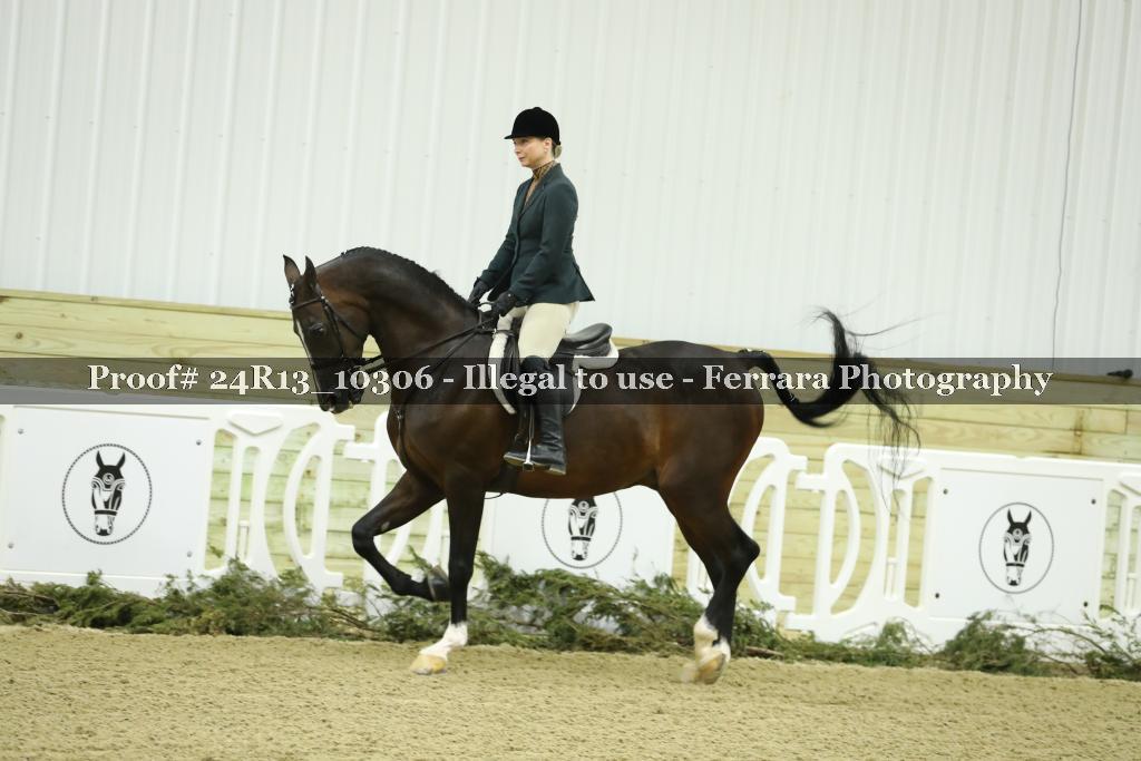 Proof 24R13_10306