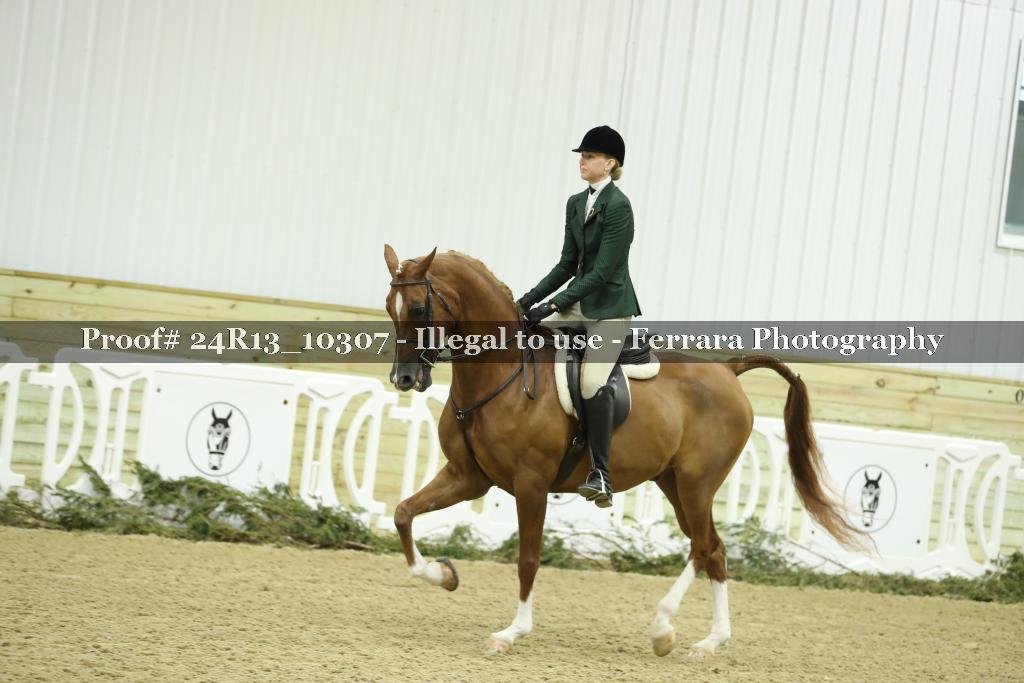 Proof 24R13_10307