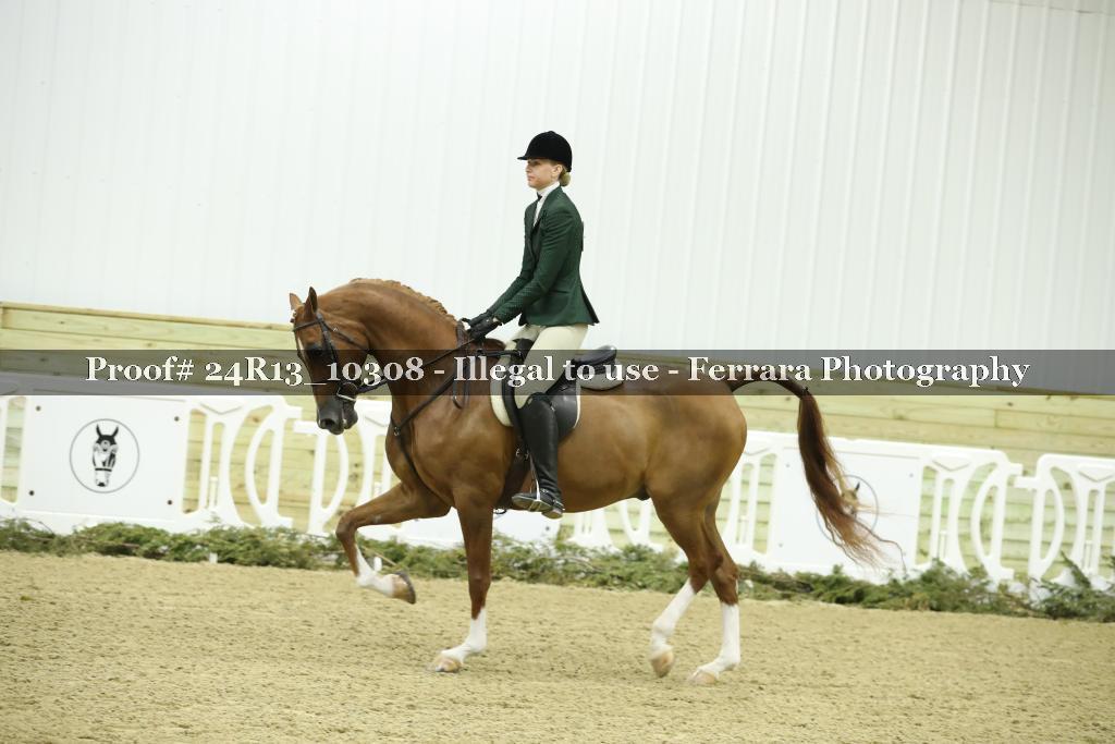 Proof 24R13_10308