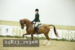 24R13_10308 proof
