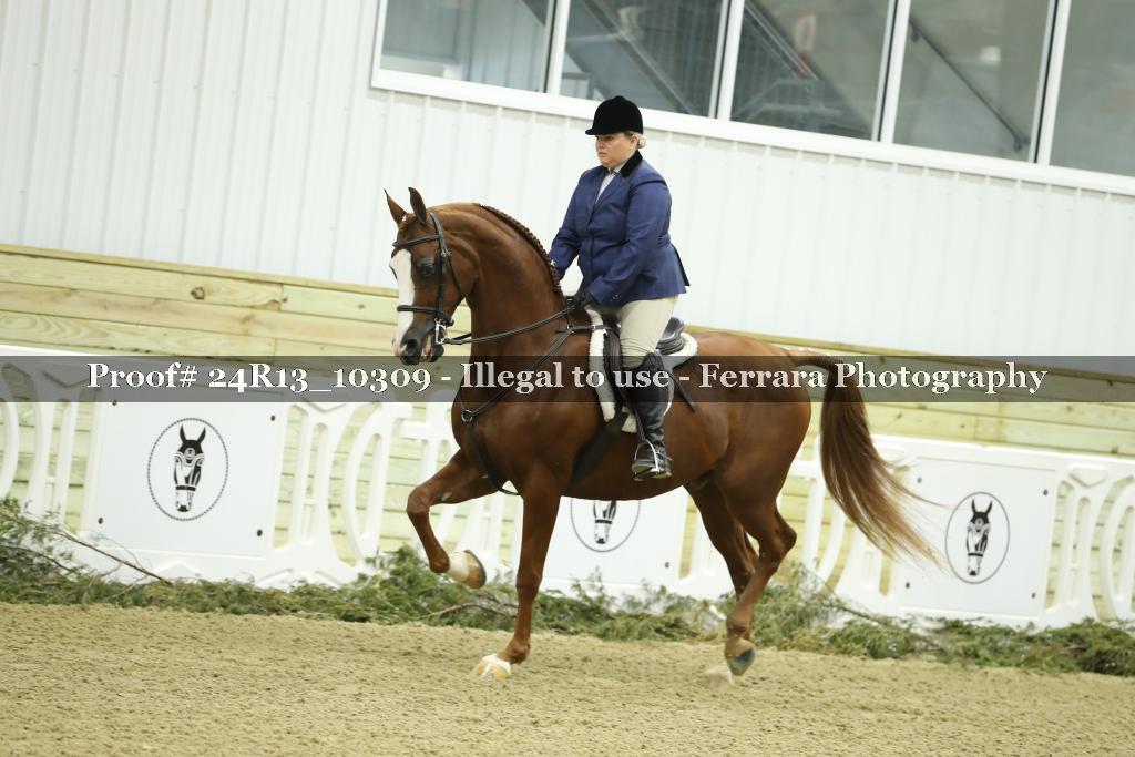 Proof 24R13_10309